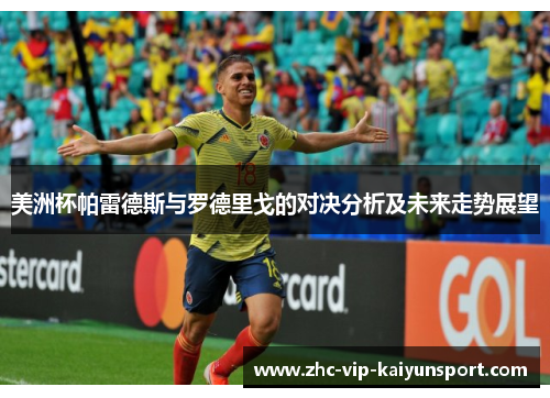 美洲杯帕雷德斯与罗德里戈的对决分析及未来走势展望